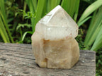 Polished Smokey Angolian Quartz Crystals x 3 From Angola
