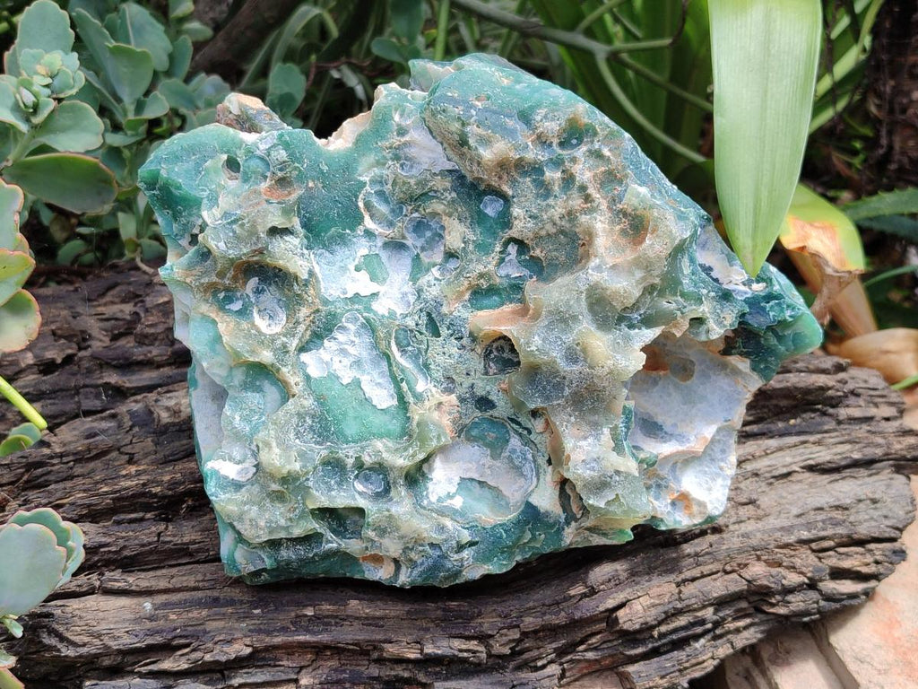 Natural Mtorolite Chrysoprase Cutting Material x 2 From Mutorashanga, Zimbabwe