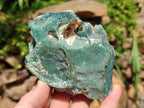 Natural Mtorolite Chrysoprase Cutting Material x 2 From Mutorashanga, Zimbabwe