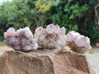 Natural Lilac Amethyst Spirit Clusters x 6 From Boekenhouthoek, South Africa