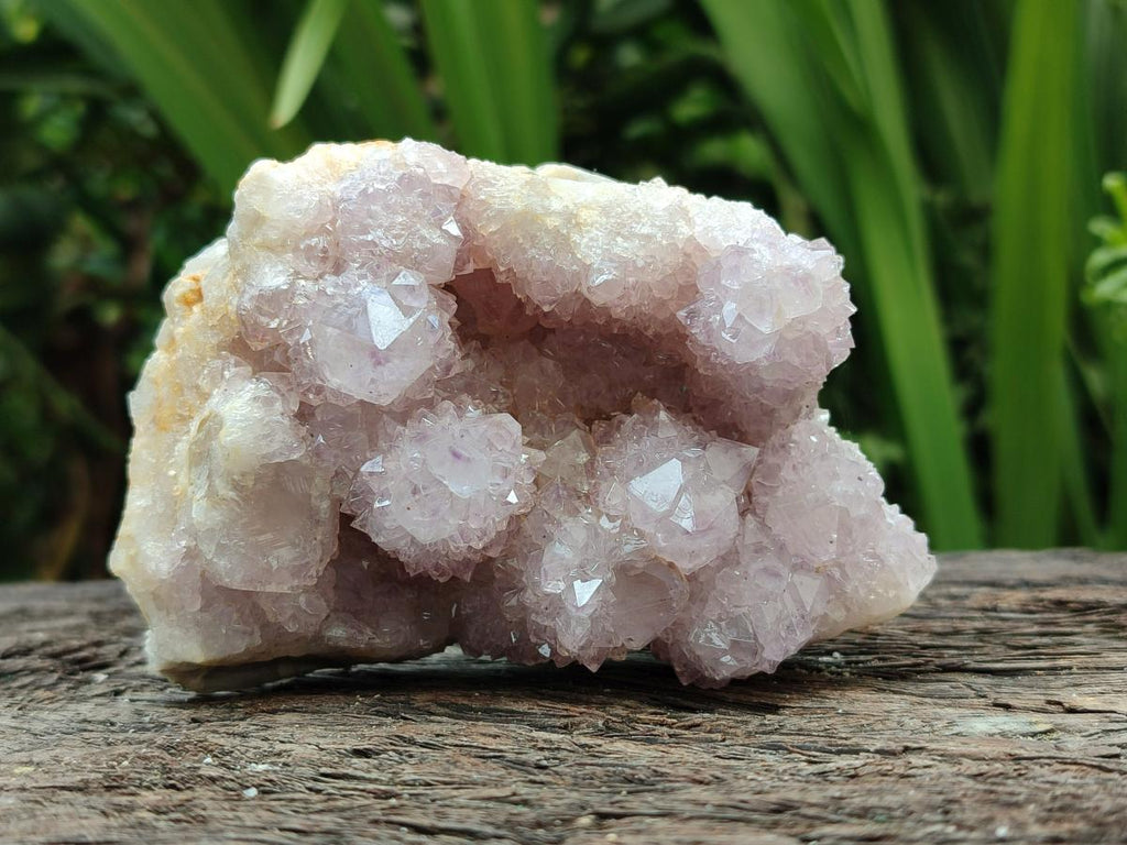 Natural Lilac Amethyst Spirit Clusters x 6 From Boekenhouthoek, South Africa