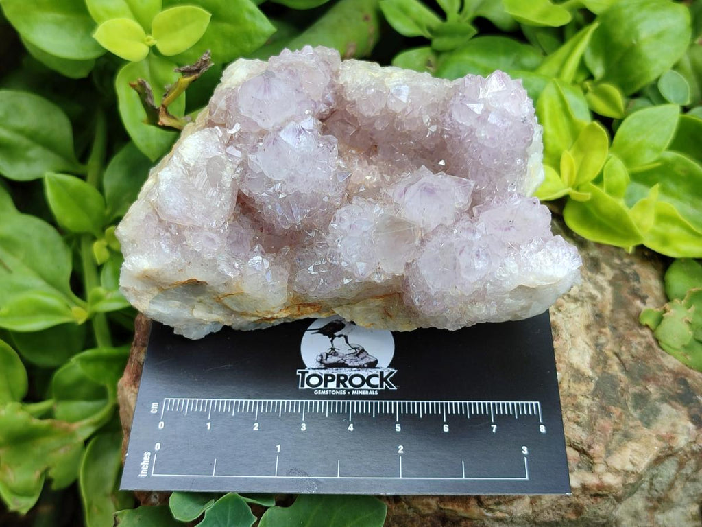 Natural Lilac Amethyst Spirit Clusters x 6 From Boekenhouthoek, South Africa