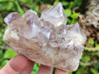 Natural Lilac Amethyst Spirit Clusters x 6 From Boekenhouthoek, South Africa