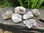 Natural Lilac Amethyst Spirit Clusters x 6 From Boekenhouthoek, South Africa