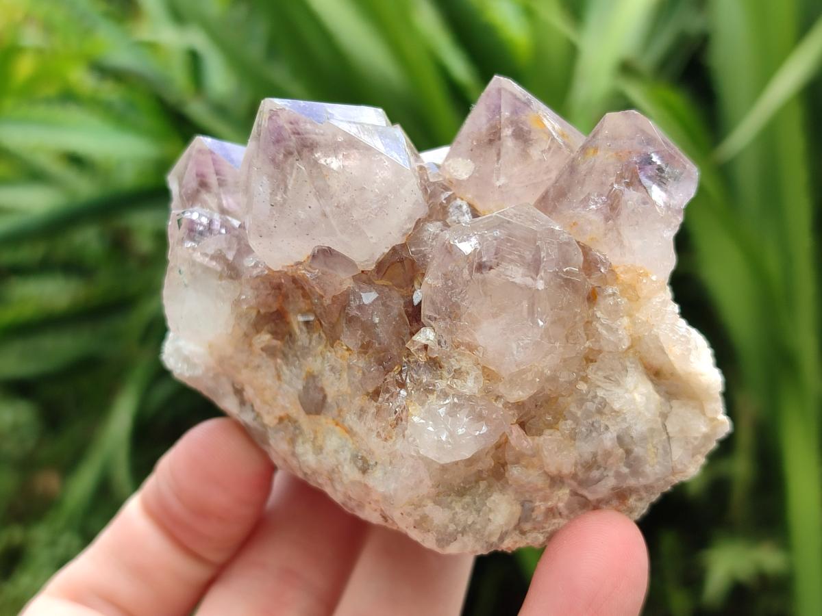 Natural Lilac Amethyst Spirit Clusters x 6 From Boekenhouthoek, South Africa
