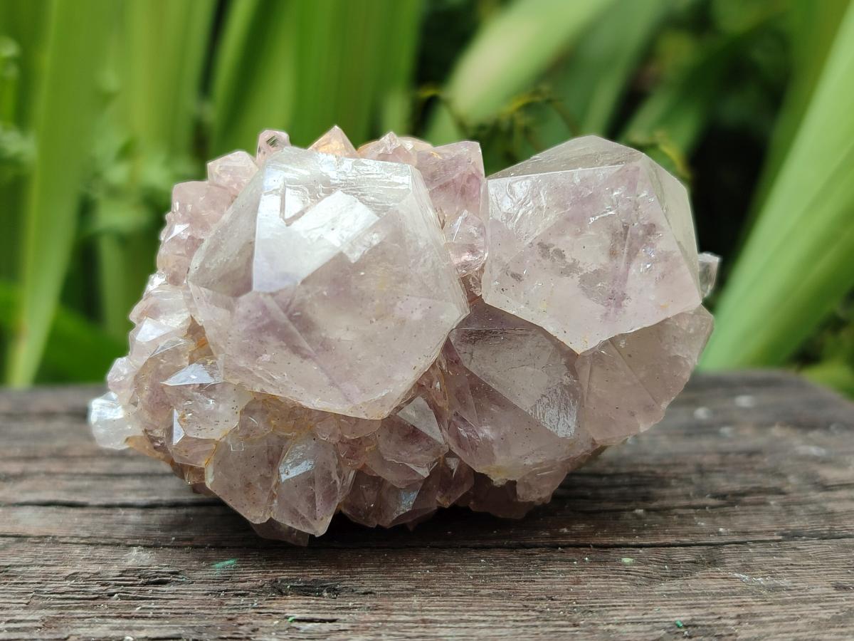 Natural Lilac Amethyst Spirit Clusters x 6 From Boekenhouthoek, South Africa