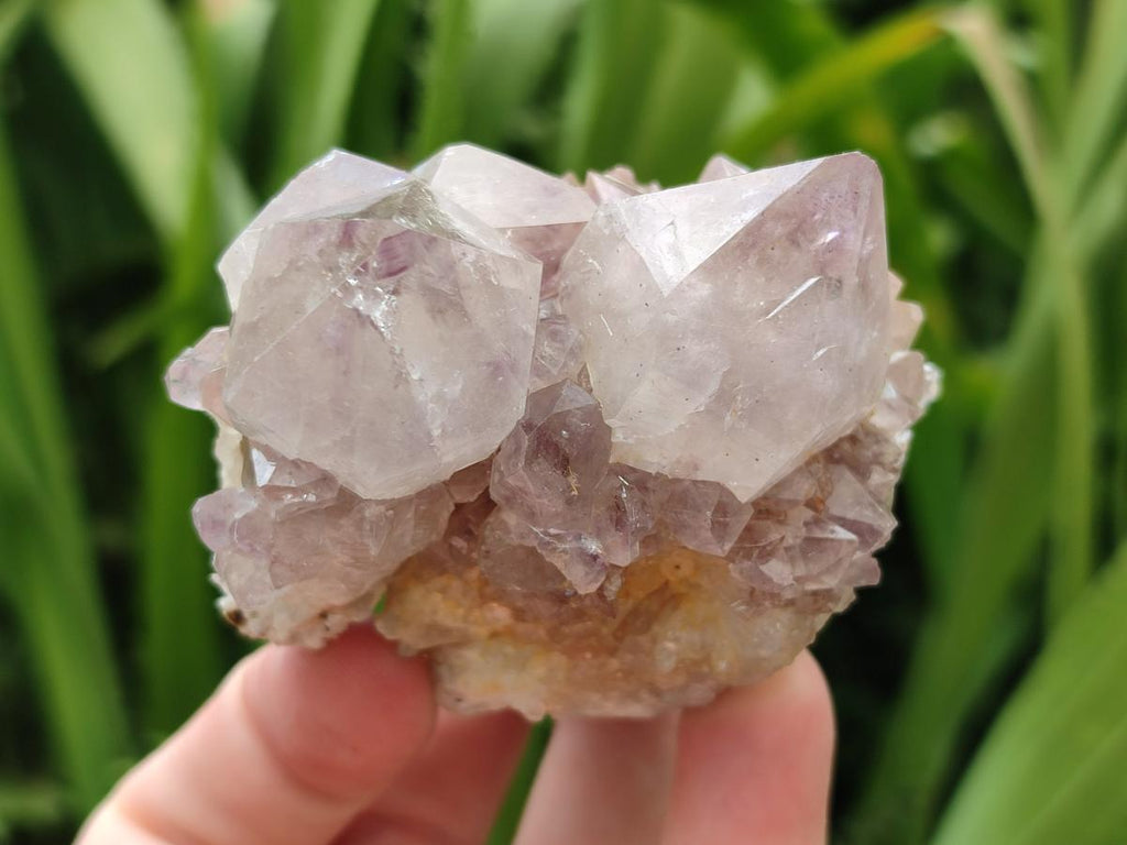 Natural Lilac Amethyst Spirit Clusters x 6 From Boekenhouthoek, South Africa