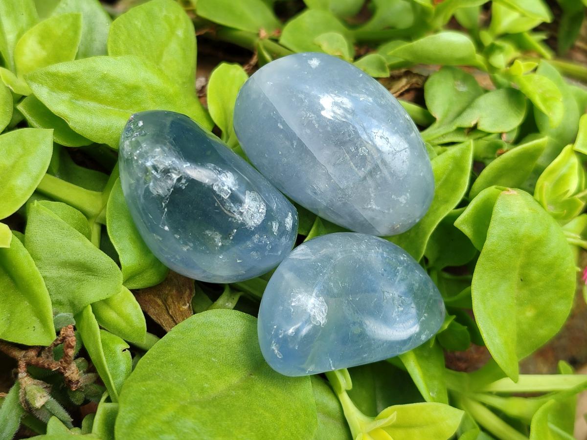 Polished Blue Celestite Free Form Crystals x 20 From Sakoany, Madagascar