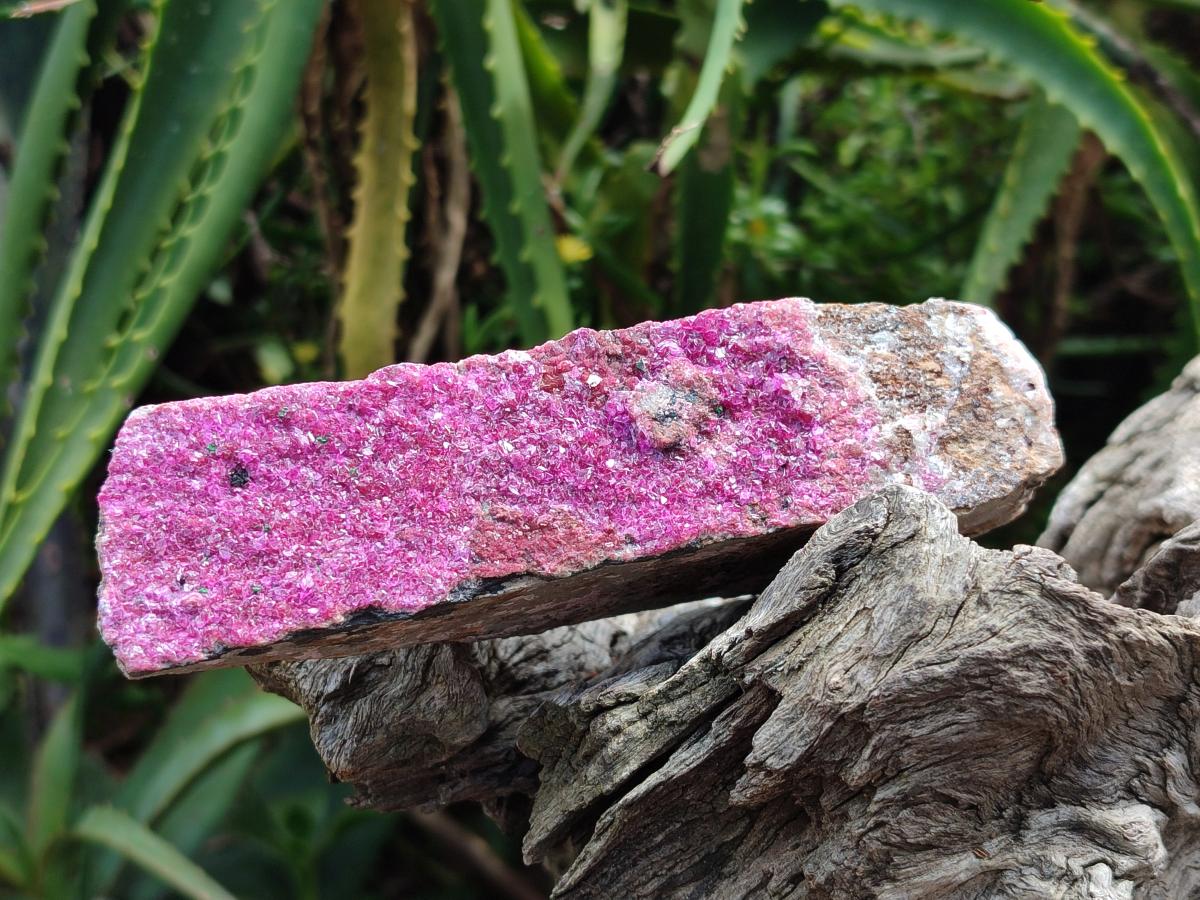 Natural Salrose Cobaltion Dolomite Specimens x 2 From Kakanda, Congo