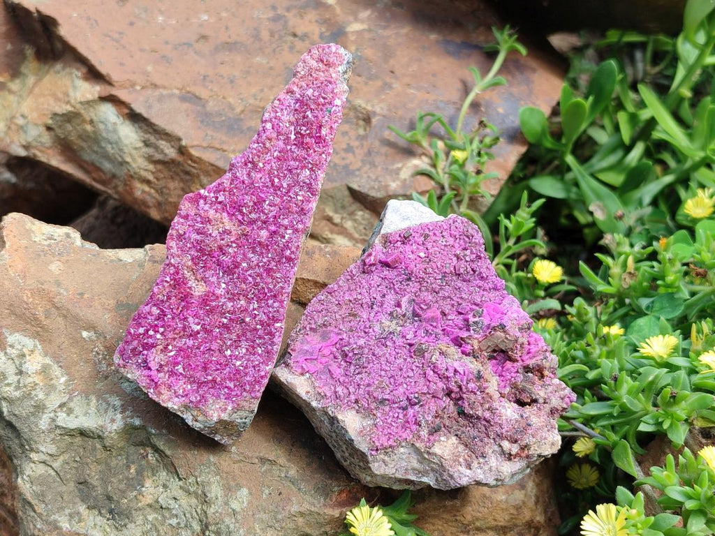 Natural Salrose Cobaltion Dolomite Specimens x 2 From Kakanda, Congo