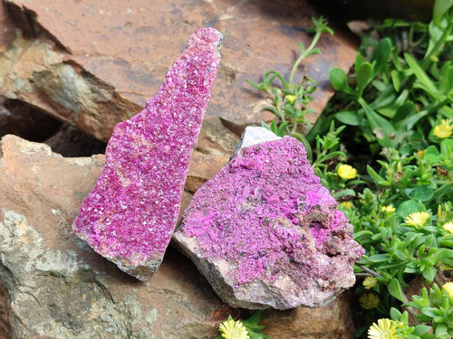 Natural Salrose Cobaltion Dolomite Specimens x 2 From Kakanda, Congo