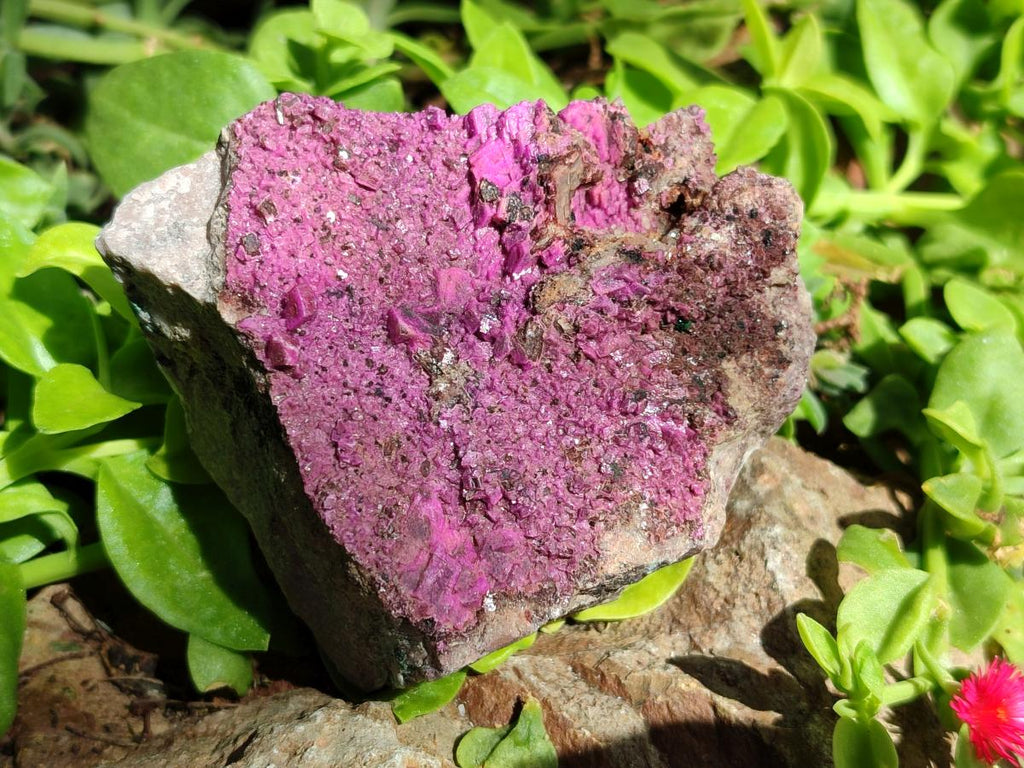 Natural Salrose Cobaltion Dolomite Specimens x 2 From Kakanda, Congo