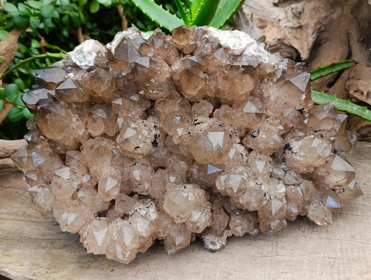 Natural XL Phantom Cascading Smokey Luena Quartz Cluster x 1 From Luena, Congo