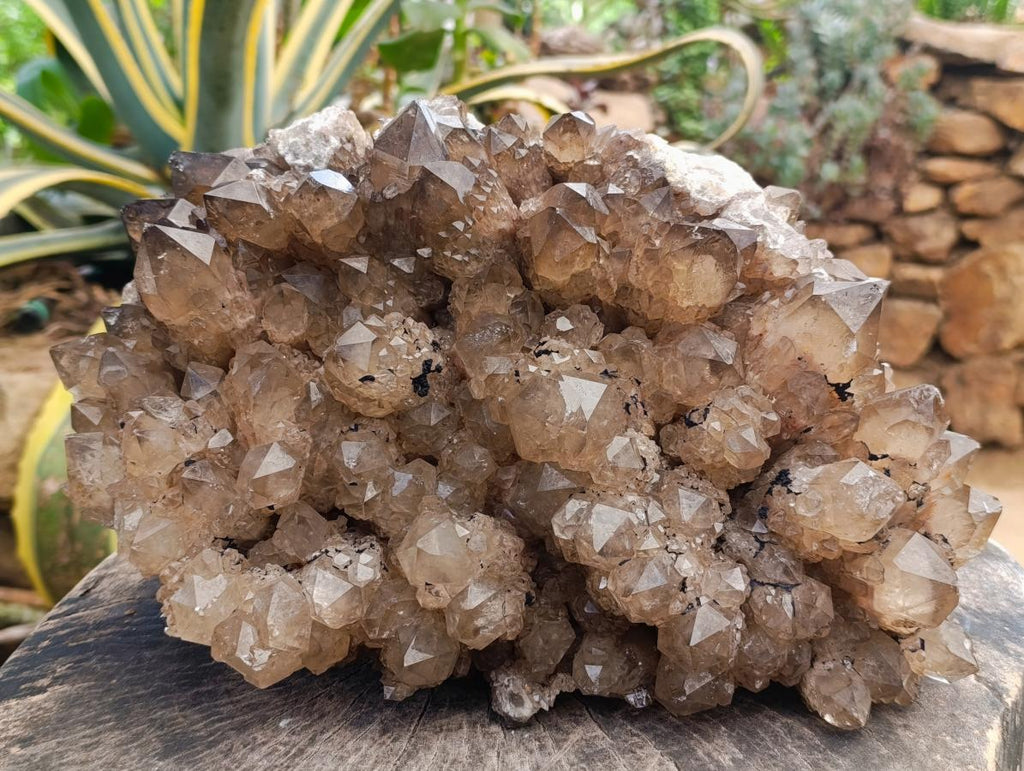 Natural XL Phantom Cascading Smokey Luena Quartz Cluster x 1 From Luena, Congo