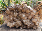 Natural XL Phantom Cascading Smokey Luena Quartz Cluster x 1 From Luena, Congo