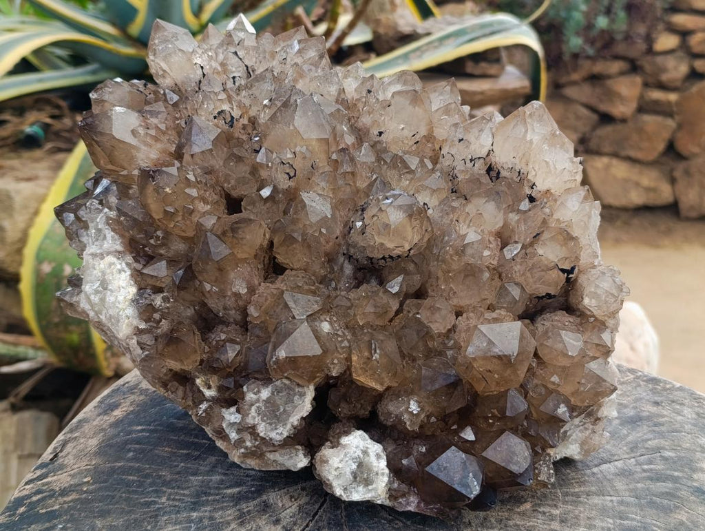 Natural XL Phantom Cascading Smokey Luena Quartz Cluster x 1 From Luena, Congo