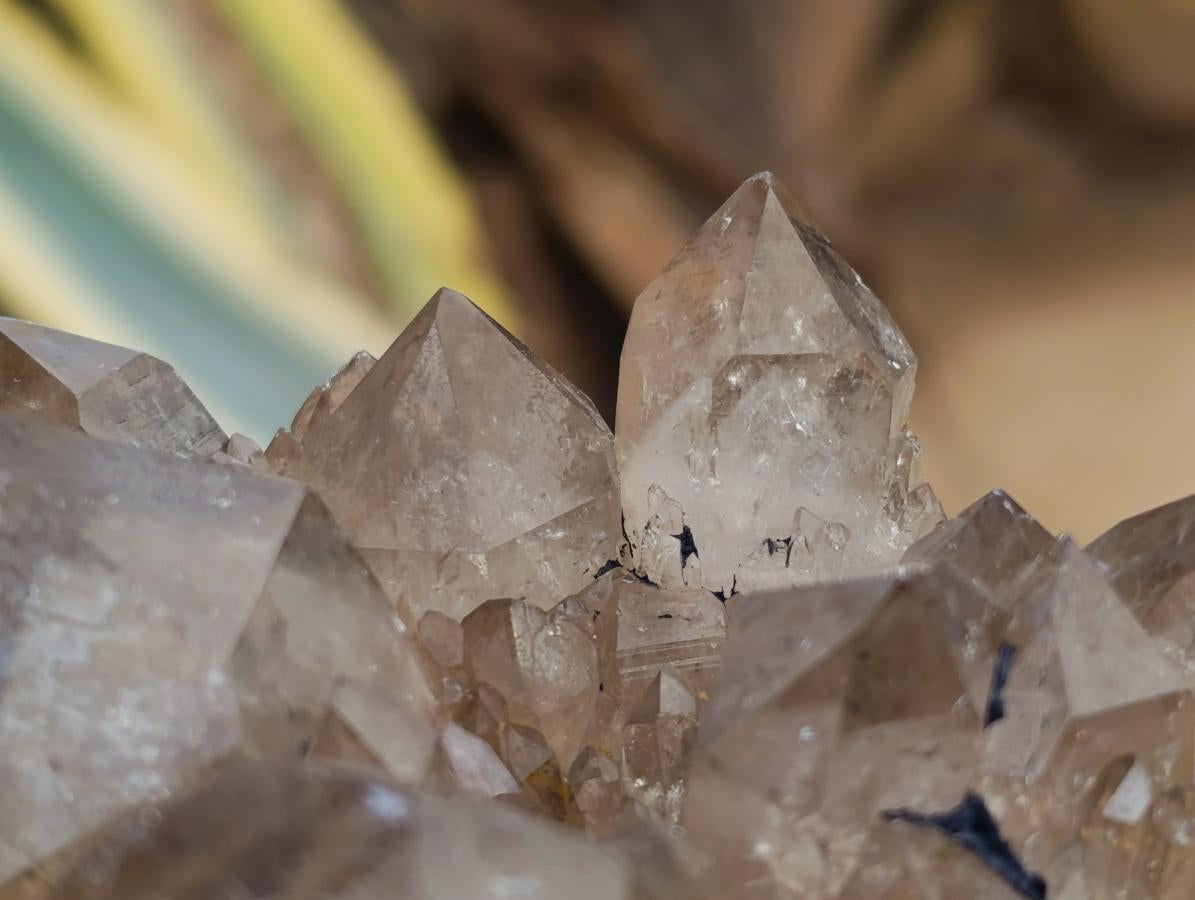 Natural XL Phantom Cascading Smokey Luena Quartz Cluster x 1 From Luena, Congo