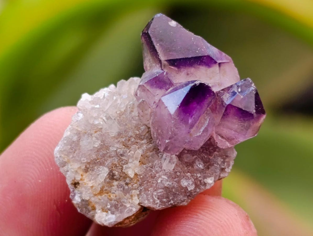 Natural Window Amethyst Crystals x 70 From Chiredzi, Zimbabwe