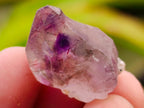 Natural Window Amethyst Crystals x 70 From Chiredzi, Zimbabwe
