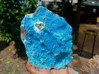 Natural Large Drusy Coated Chrysocolla Specimen x 1 From Lupoto Mine, Congo