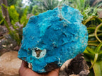 Natural Large Drusy Coated Chrysocolla Specimen x 1 From Lupoto Mine, Congo