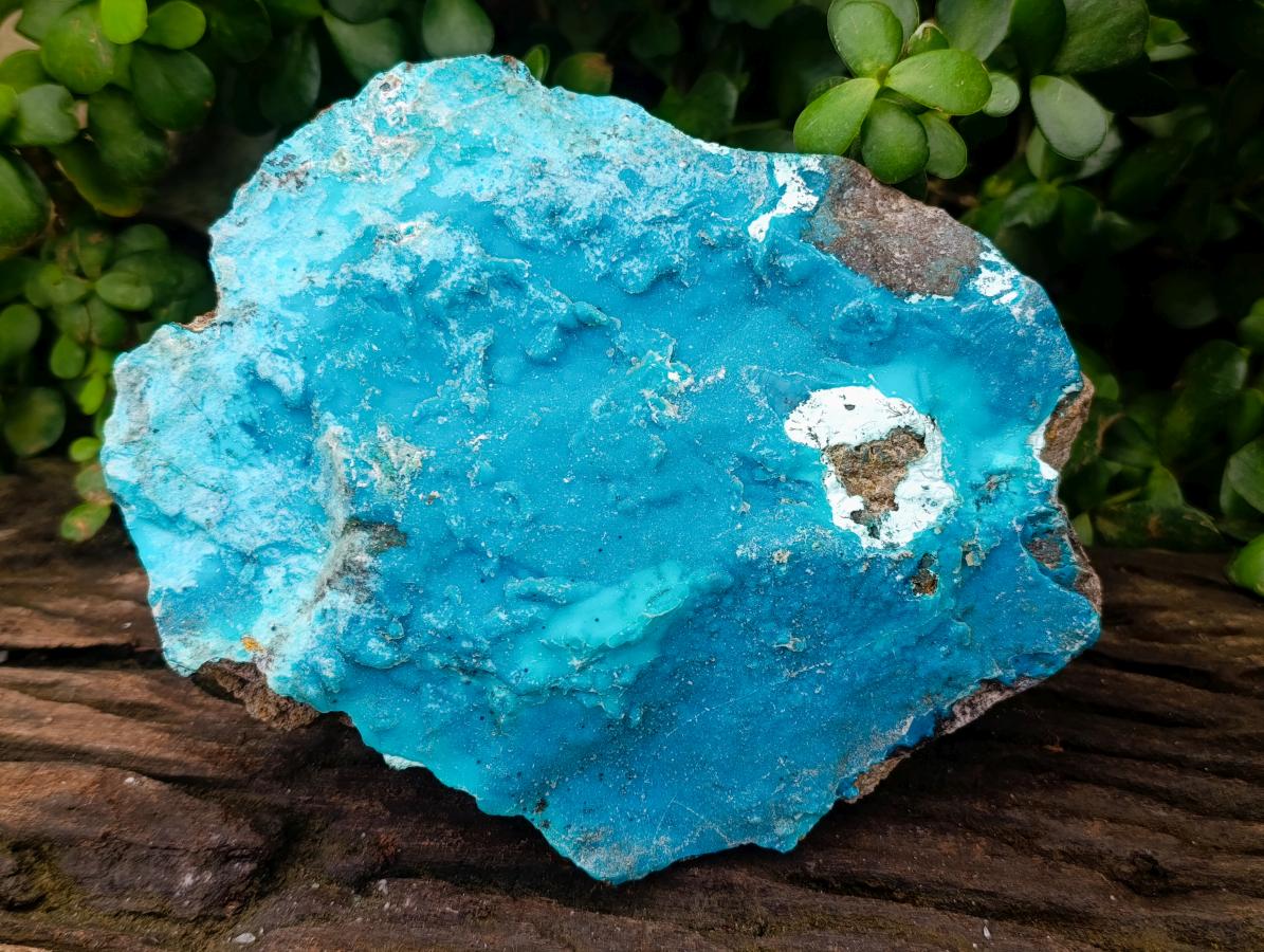 Natural Large Drusy Coated Chrysocolla Specimen x 1 From Lupoto Mine, Congo