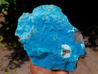Natural Large Drusy Coated Chrysocolla Specimen x 1 From Lupoto Mine, Congo