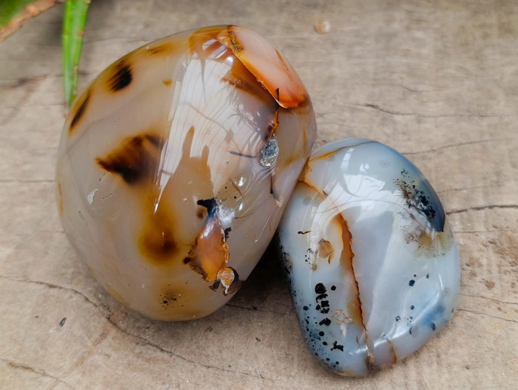 Polished One Side Agate Nodules x 6 From Madagascar