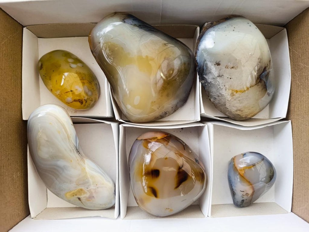 Polished One Side Agate Nodules x 6 From Madagascar