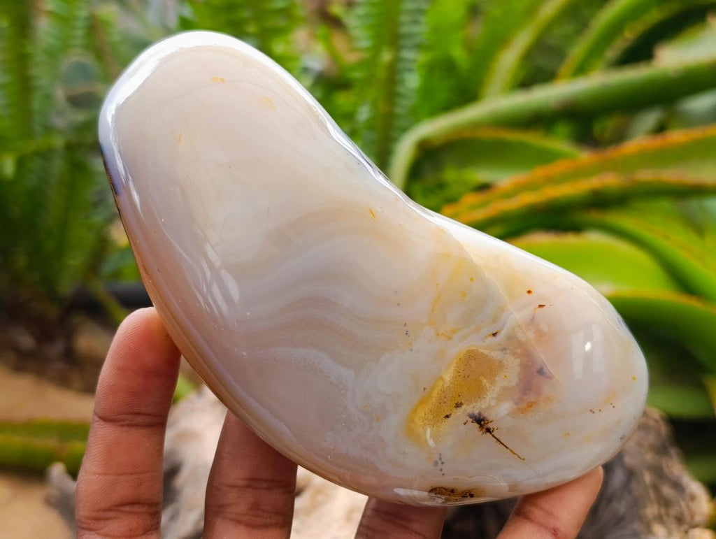 Polished One Side Agate Nodules x 6 From Madagascar