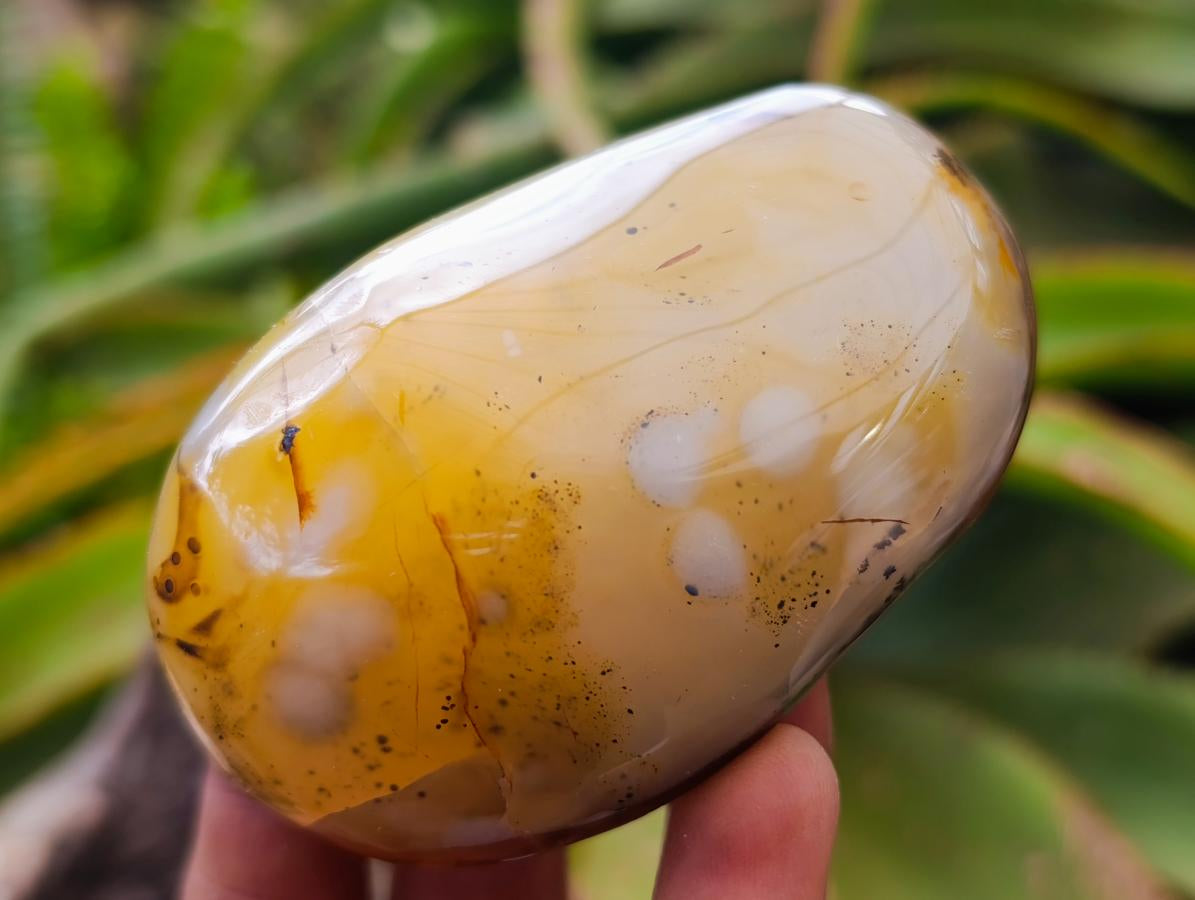 Polished One Side Agate Nodules x 6 From Madagascar