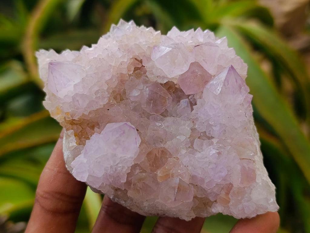 Natural Amethyst Spirit Clusters x 6 From Boekenhouthoek, South Africa