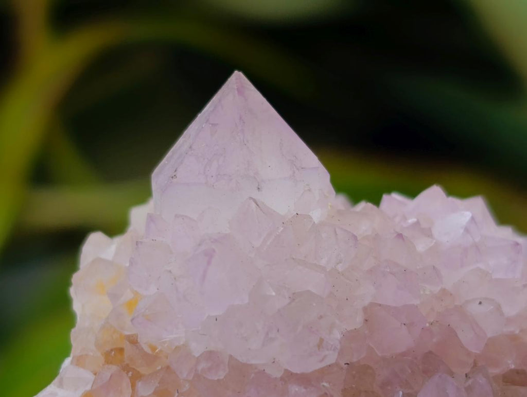 Natural Amethyst Spirit Clusters x 6 From Boekenhouthoek, South Africa