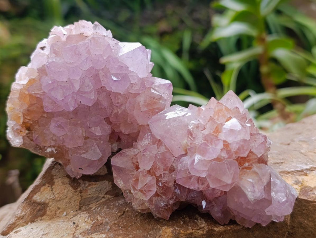 Natural Amethyst Spirit Clusters x 6 From Boekenhouthoek, South Africa