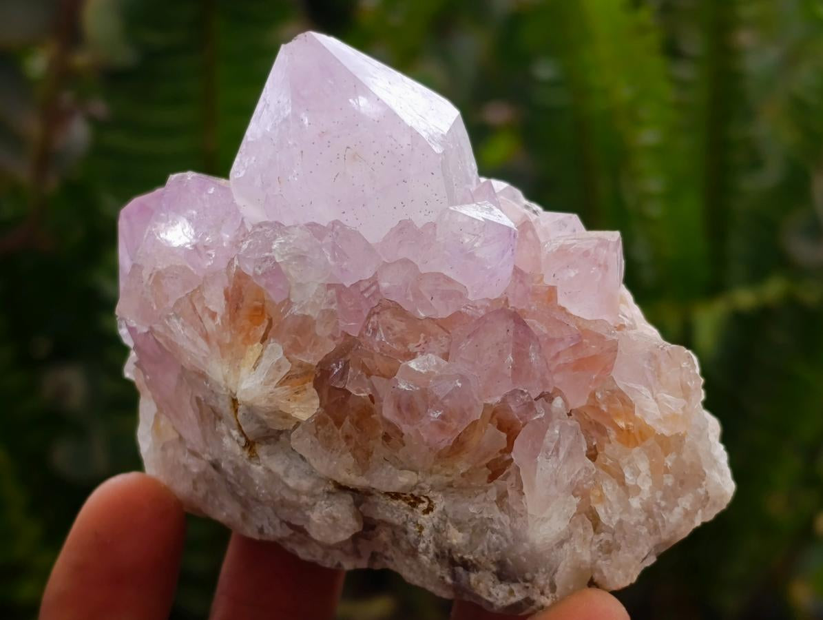 Natural Amethyst Spirit Clusters x 6 From Boekenhouthoek, South Africa