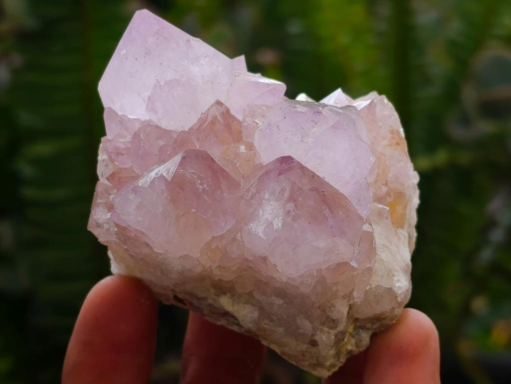 Natural Amethyst Spirit Clusters x 6 From Boekenhouthoek, South Africa