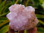 Natural Amethyst Spirit Clusters x 6 From Boekenhouthoek, South Africa
