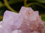 Natural Amethyst Spirit Clusters x 6 From Boekenhouthoek, South Africa