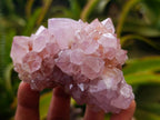 Natural Amethyst Spirit Clusters x 6 From Boekenhouthoek, South Africa