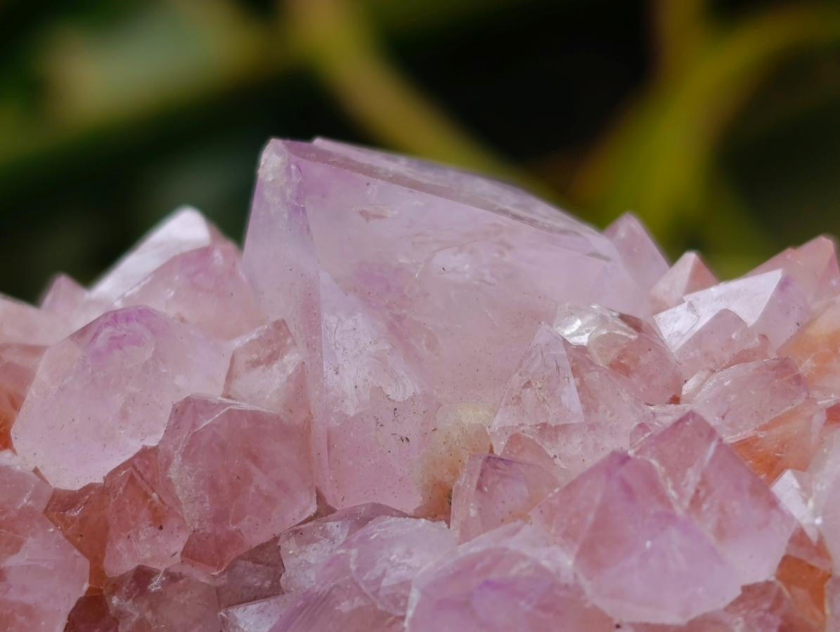 Natural Amethyst Spirit Clusters x 6 From Boekenhouthoek, South Africa
