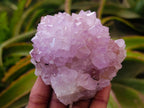 Natural Amethyst Spirit Clusters x 6 From Boekenhouthoek, South Africa