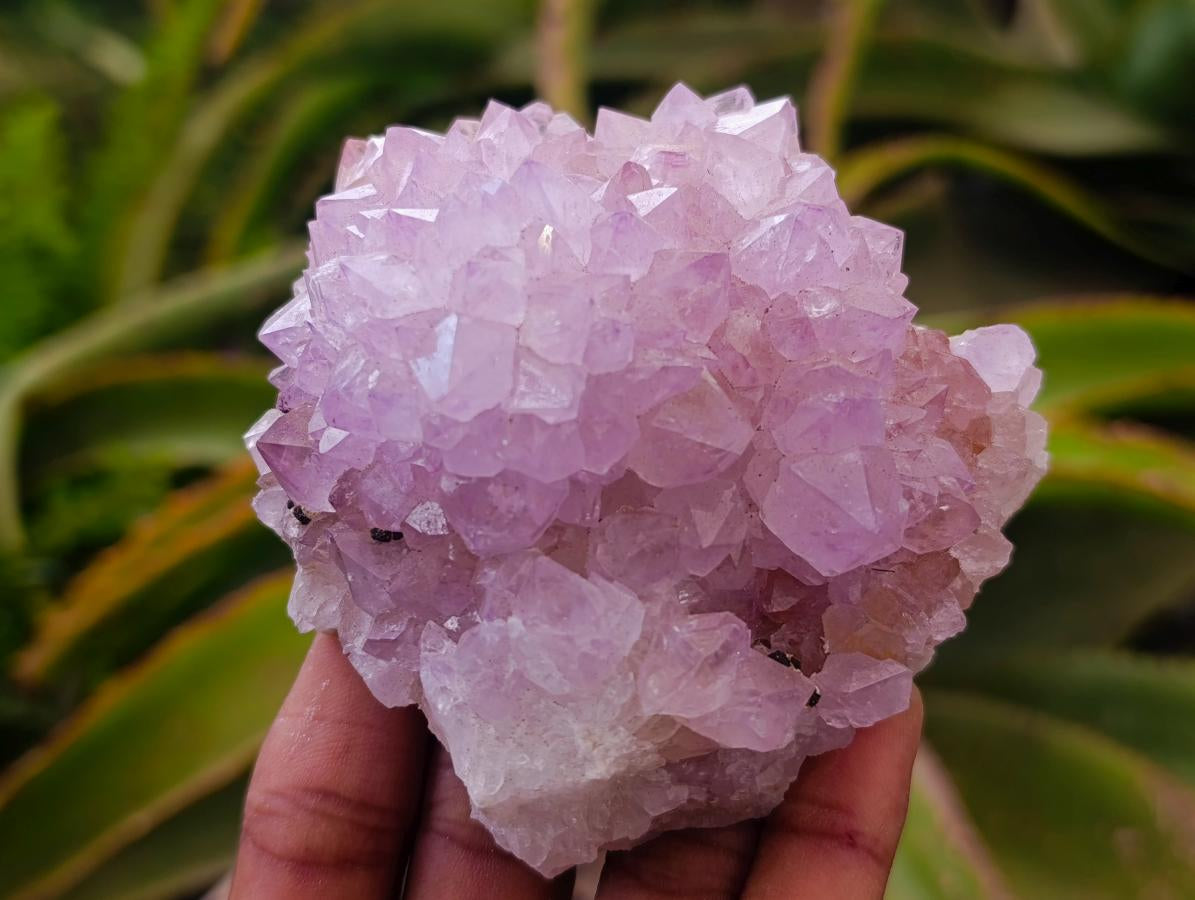 Natural Amethyst Spirit Clusters x 6 From Boekenhouthoek, South Africa