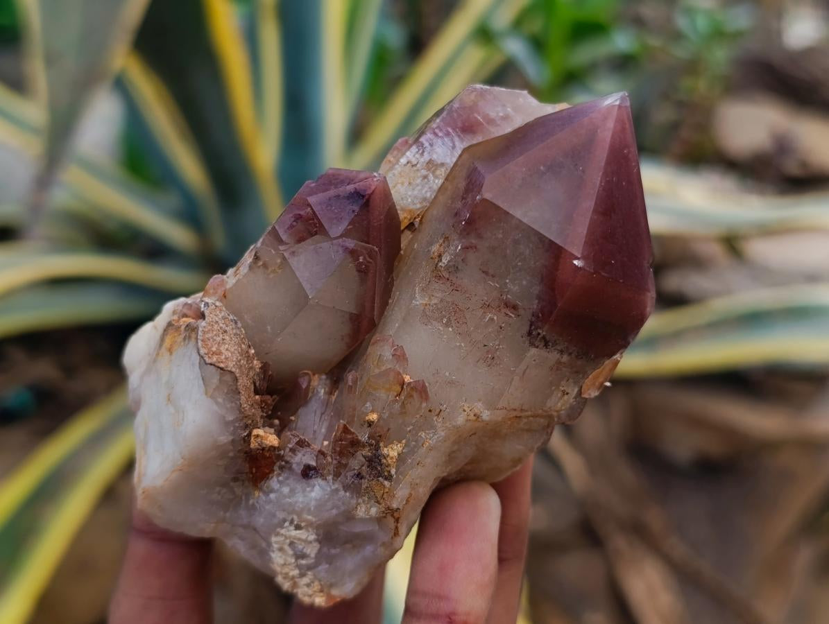 Polished Red Hematoid Quartz Crystal Clusters x 2 From Karoi, Zimbabwe
