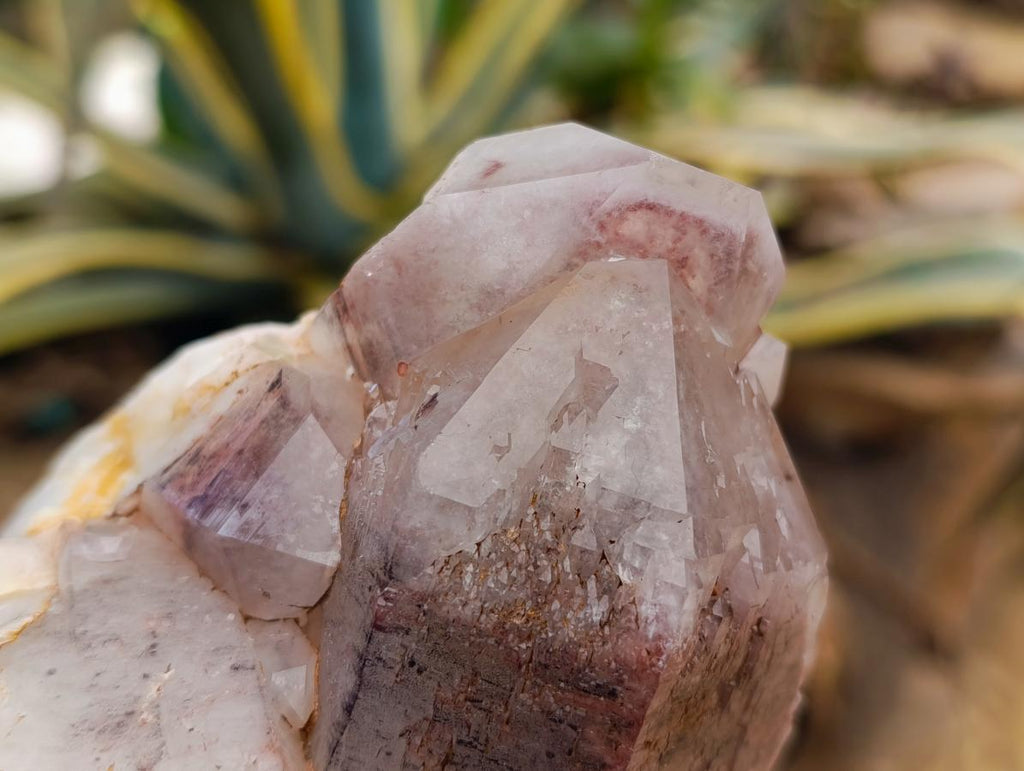 Polished Red Hematoid Quartz Crystal Clusters x 2 From Karoi, Zimbabwe