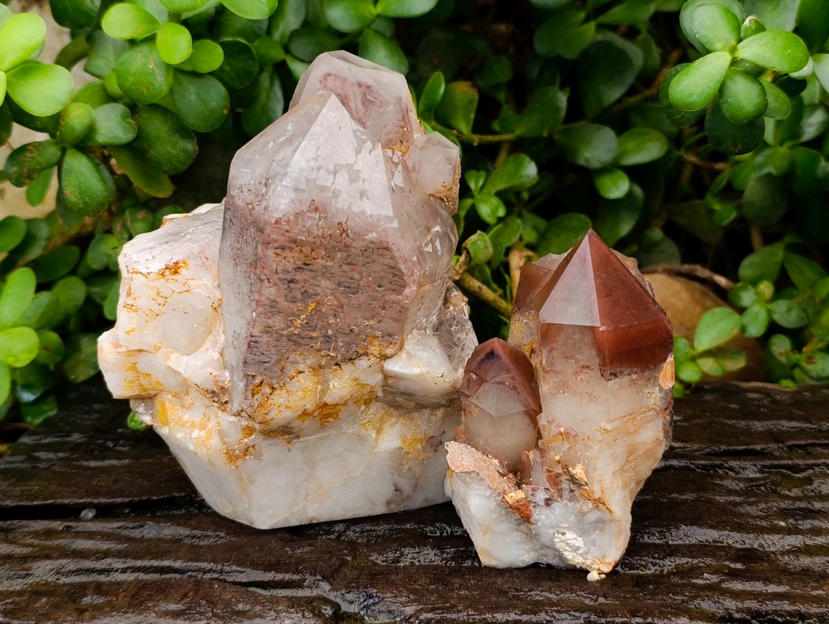 Polished Red Hematoid Quartz Crystal Clusters x 2 From Karoi, Zimbabwe