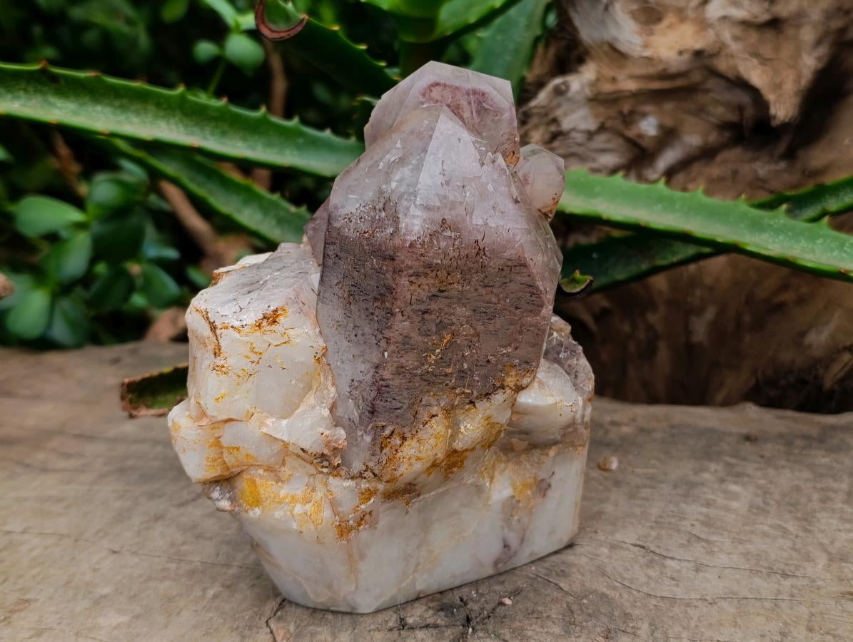 Polished Red Hematoid Quartz Crystal Clusters x 2 From Karoi, Zimbabwe