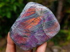 Polished Rare Purple Sunset Flash Labradorite Standing Free Forms x 4 From Madagascar