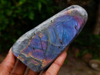 Polished Rare Purple Sunset Flash Labradorite Standing Free Forms x 4 From Madagascar