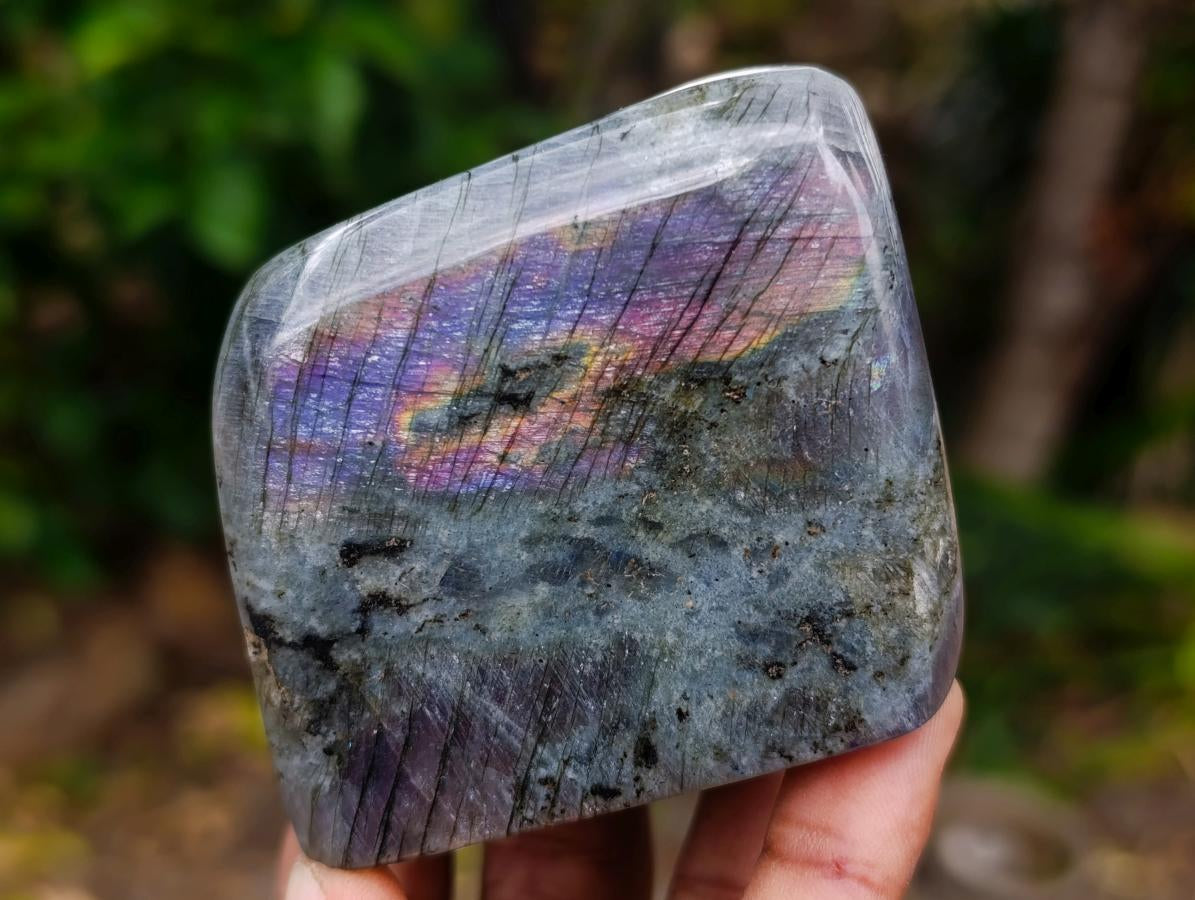 Polished Rare Purple Sunset Flash Labradorite Standing Free Forms x 4 From Madagascar