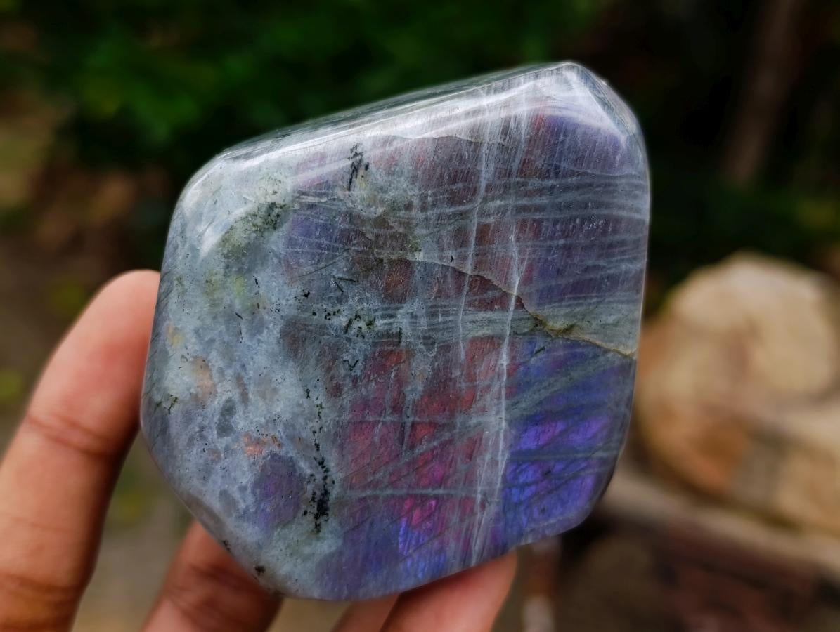 Polished Rare Purple Sunset Flash Labradorite Standing Free Forms x 4 From Madagascar